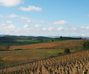 vue-pyrenees-depuis-chardonnay3